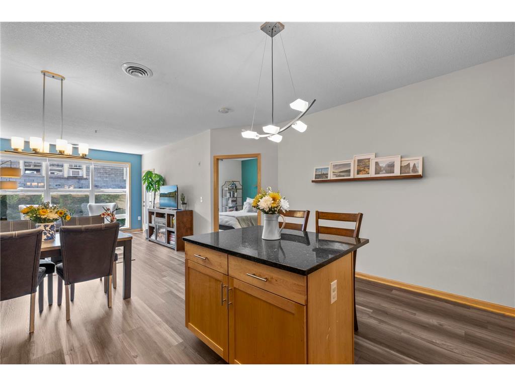 301 Oak Grove Street #308 Minneapolis MN 55403 7108803 image18