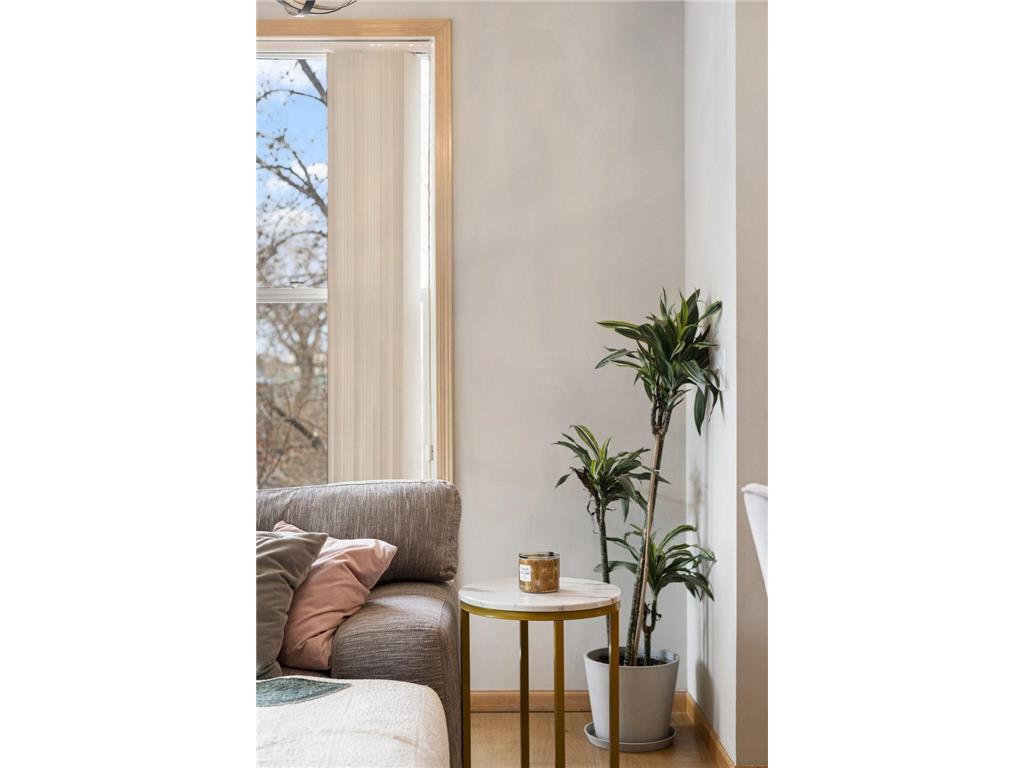 301 Oak Grove Street #314 Minneapolis MN 55403 7034120 image21