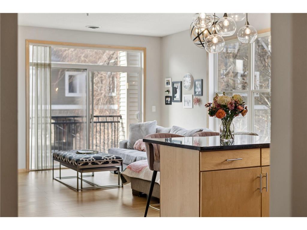 301 Oak Grove Street #314 Minneapolis MN 55403 7089185 image9