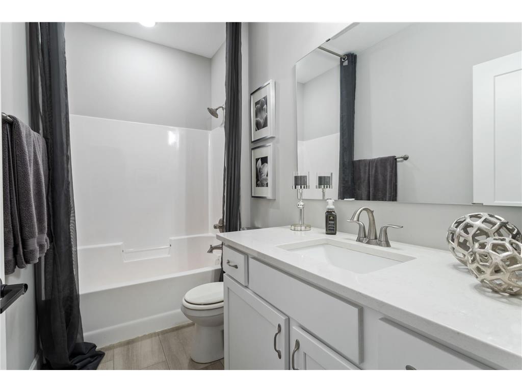 301 Riverview Circle Hanover MN 55341 7108981 image17
