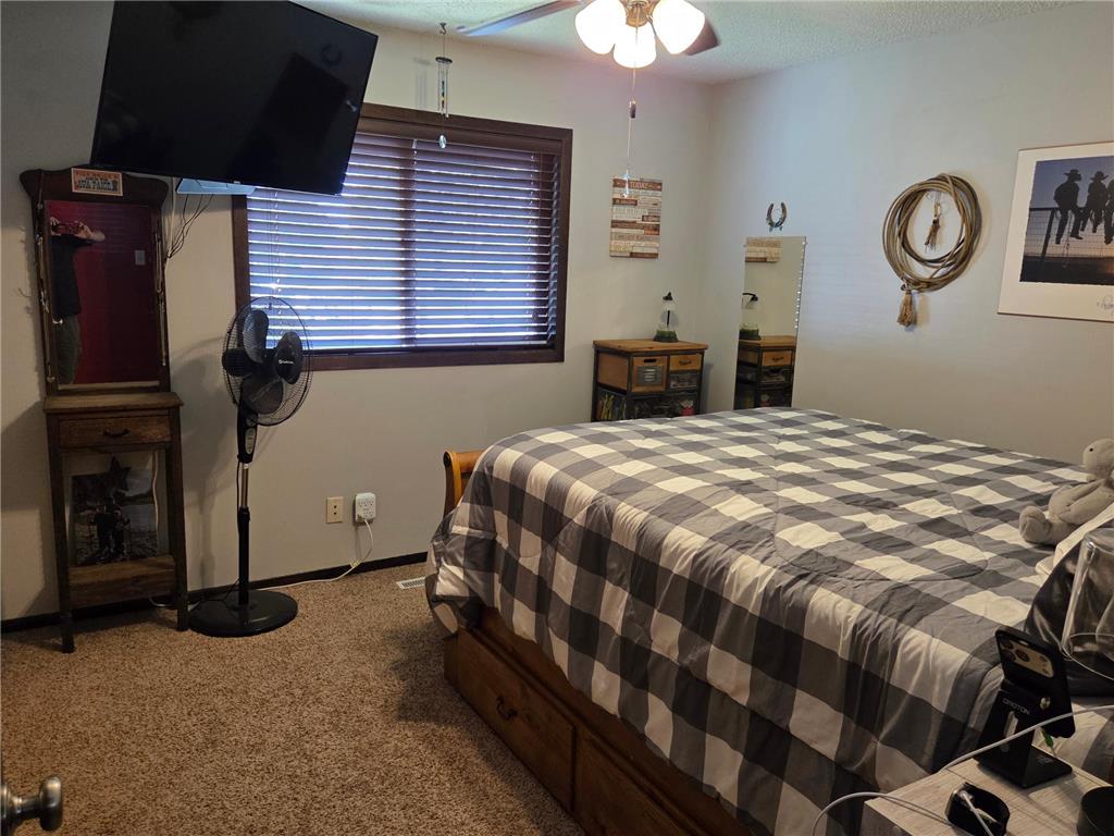 301 SE Fremont Street Brownsdale MN 55918 7082767 image11