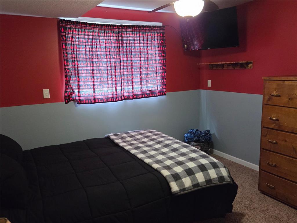 301 SE Fremont Street Brownsdale MN 55918 7082767 image13