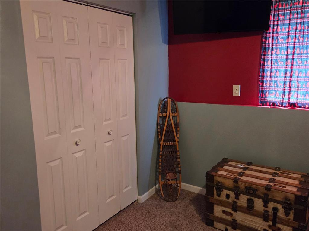 301 SE Fremont Street Brownsdale MN 55918 7082767 image14