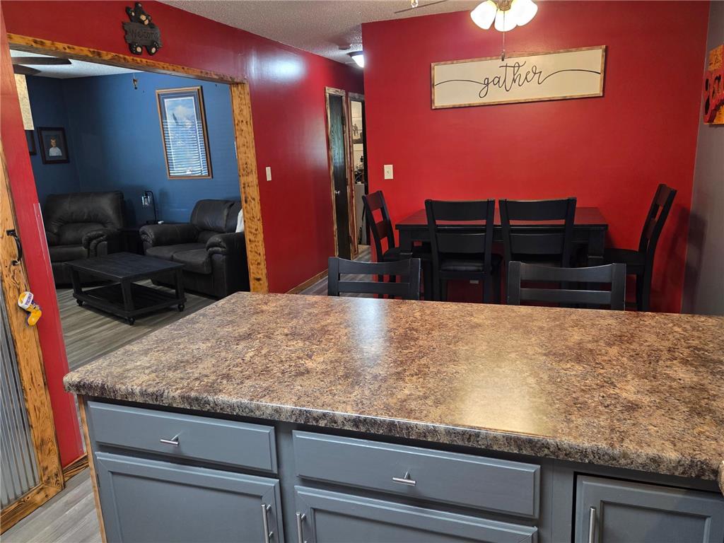 301 SE Fremont Street Brownsdale MN 55918 7082767 image6