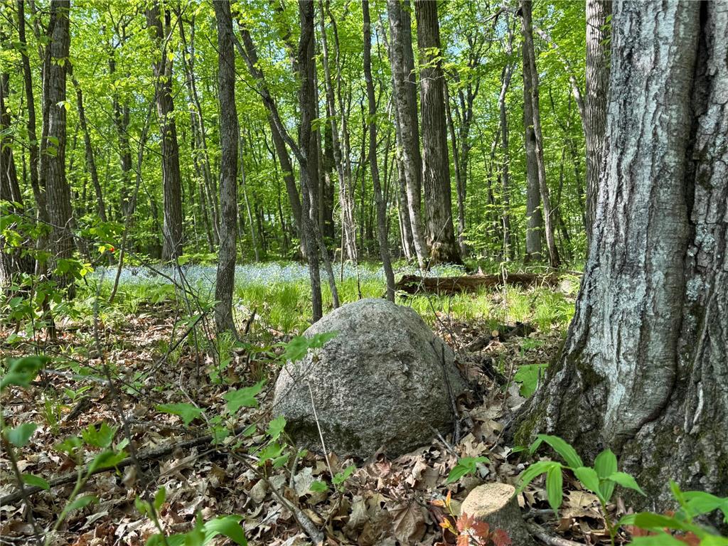 30111 Tageto Road Sugar Bush E Twp MN 56569 - Big Sugar Bush 7082612 image46