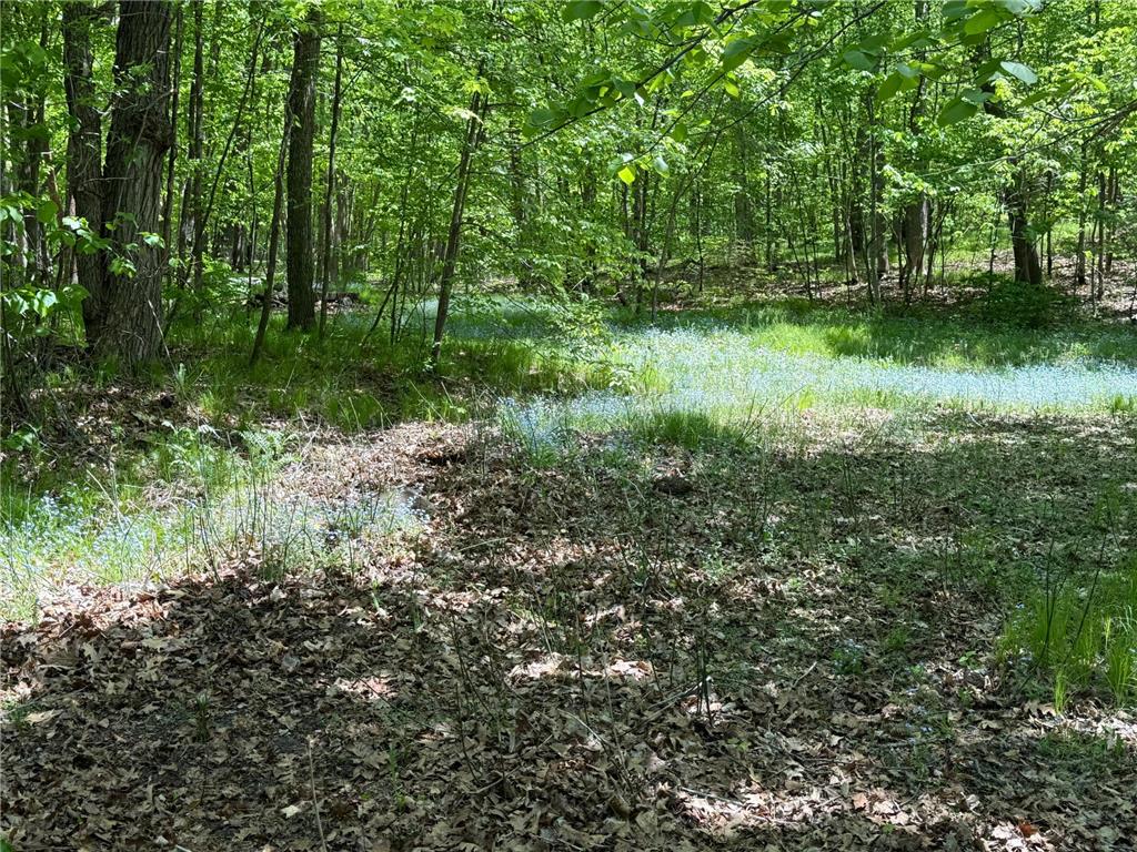 30111 Tageto Road Sugar Bush E Twp MN 56569 - Big Sugar Bush 7082612 image47