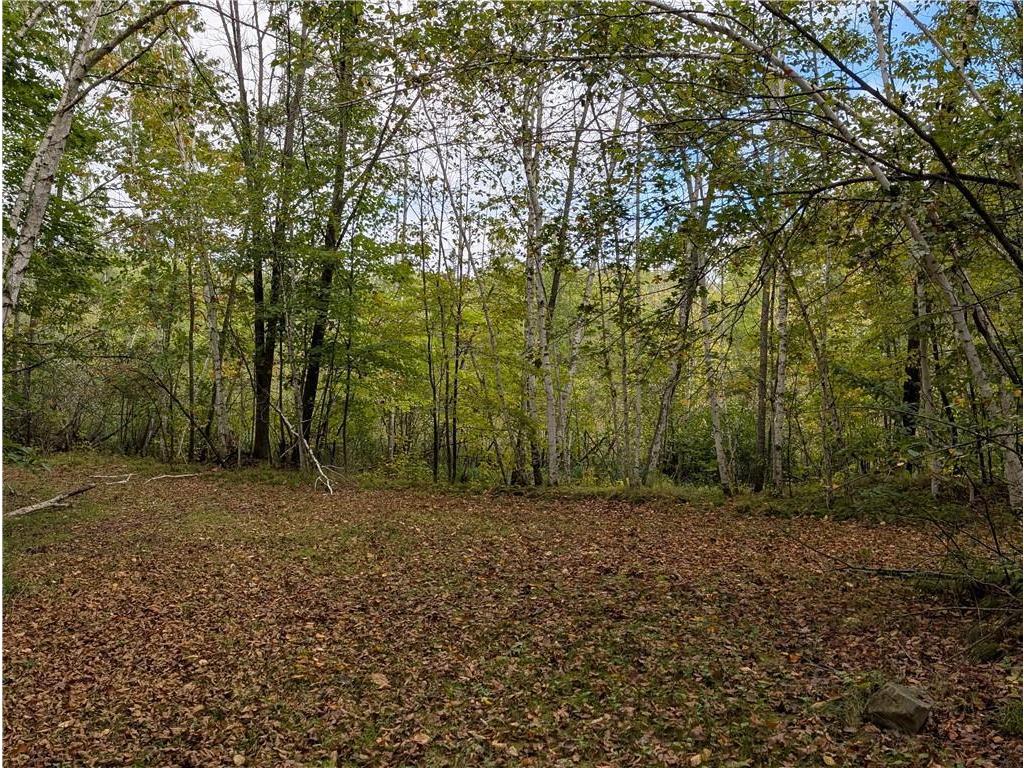 30129 136th Street Sampson Twp WI 54757 6818309 image12