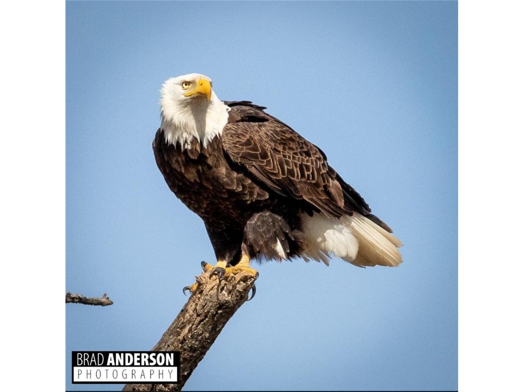 30169 513th Avenue Leaf Lake Twp MN 56571 - East Leaf Lake 6794259 image26