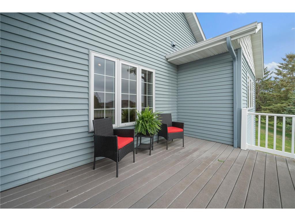 302 Ashley Court Alexandria MN 56308 7009328 image14