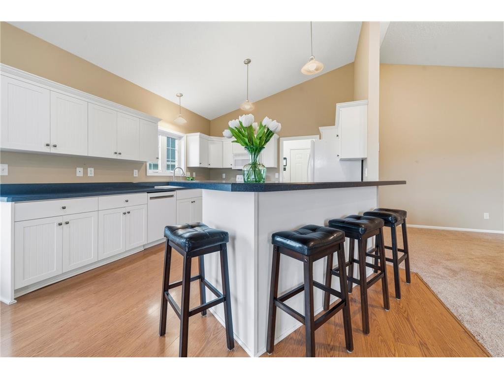 302 Ashley Court Alexandria MN 56308 7009328 image4
