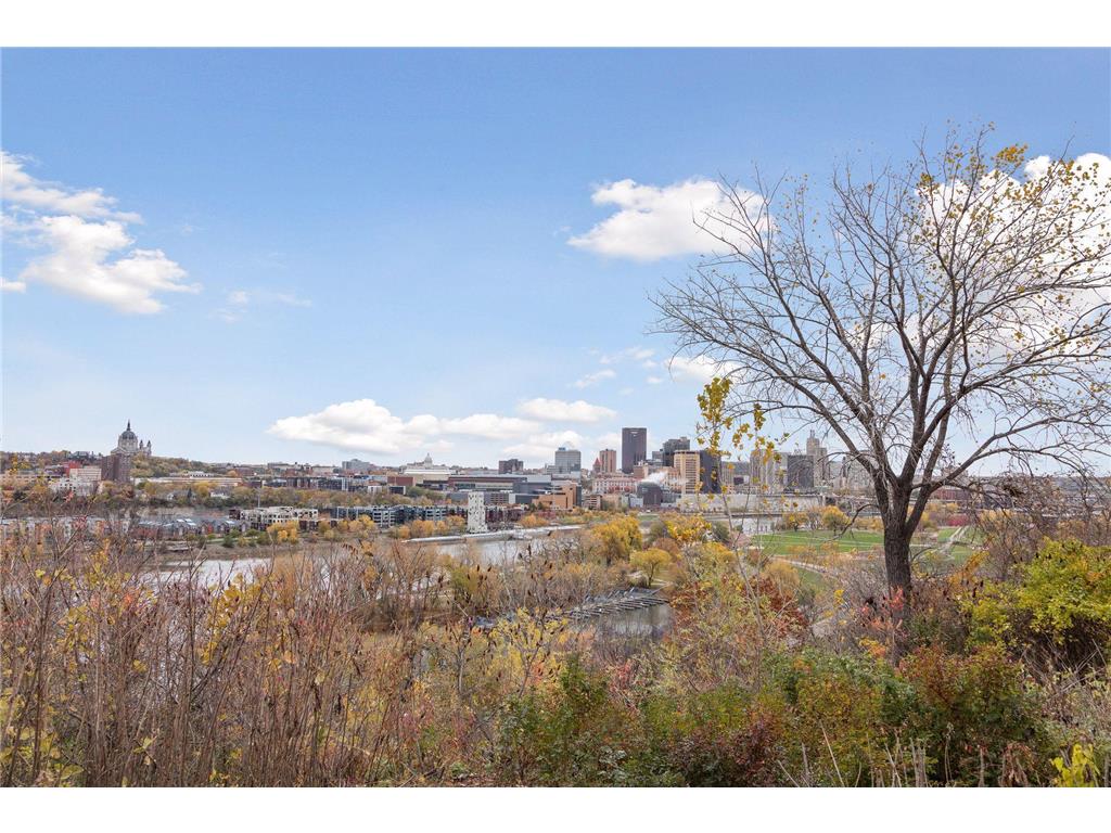 302 Cherokee Avenue Saint Paul MN 55107 6371865 image25