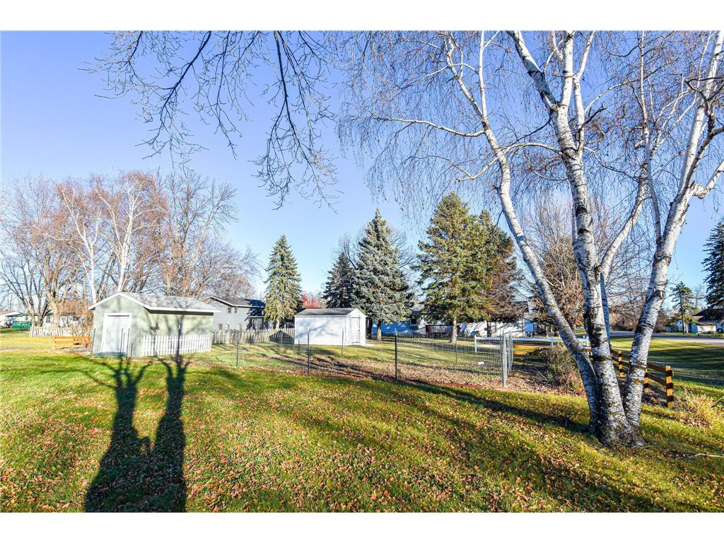 302 Sherwood Avenue N Thief River Falls MN 56701 6726398 image44