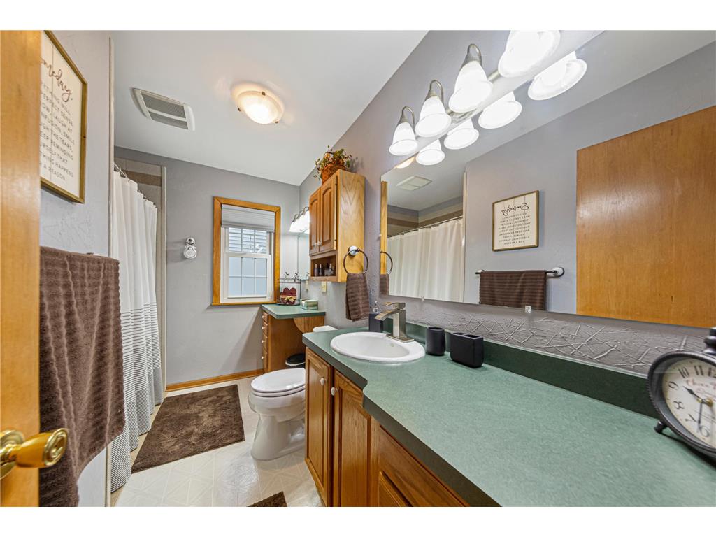 302 W Douglas Street Arlington MN 55307 7064885 image21
