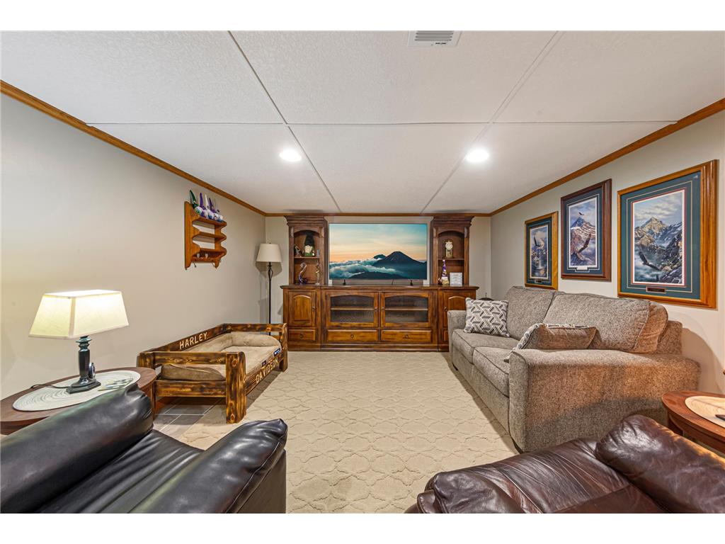 302 W Douglas Street Arlington MN 55307 7064885 image27