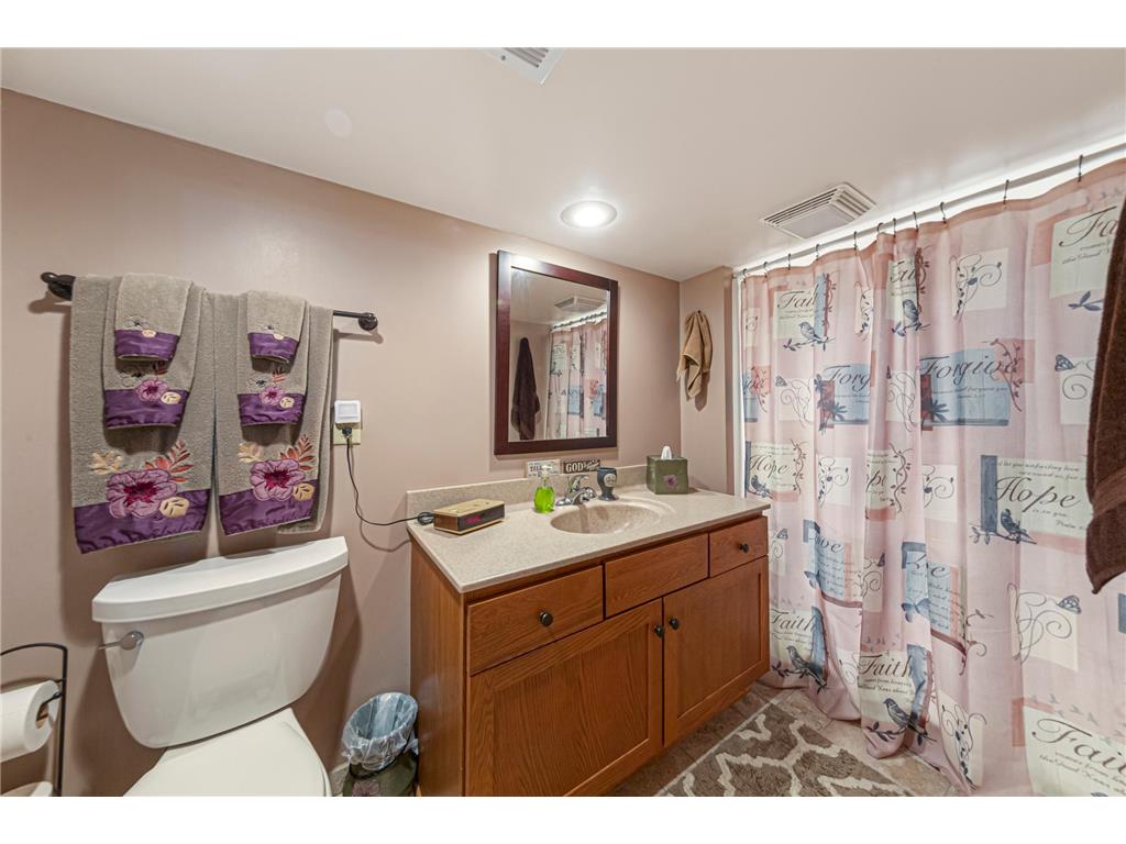 302 W Douglas Street Arlington MN 55307 7064885 image28