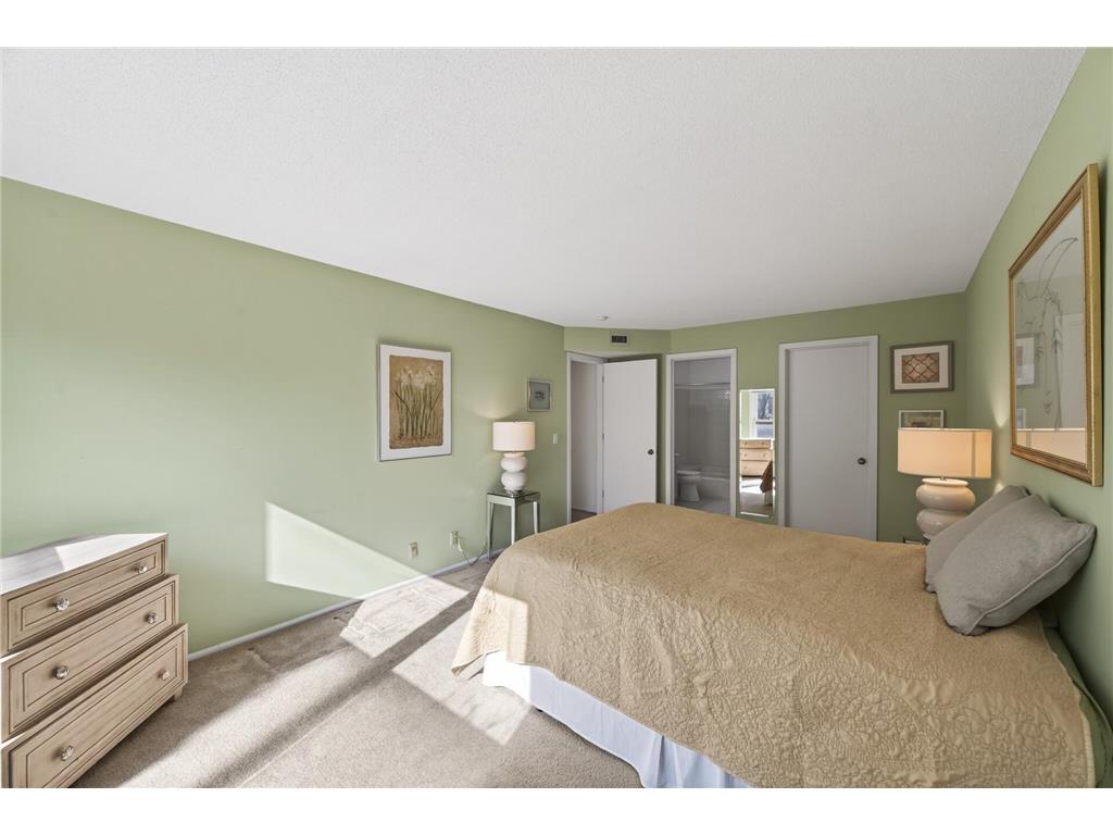 3020 Saint Albans Mill Road #105 Minnetonka MN 55305 - Minnehaha Creek 7052466 image21