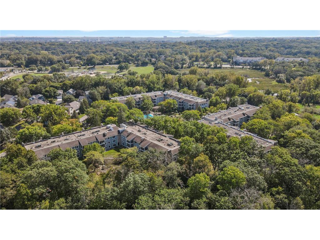 3020 Saint Albans Mill Road #105 Minnetonka MN 55305 - Minnehaha Creek 7052466 image54