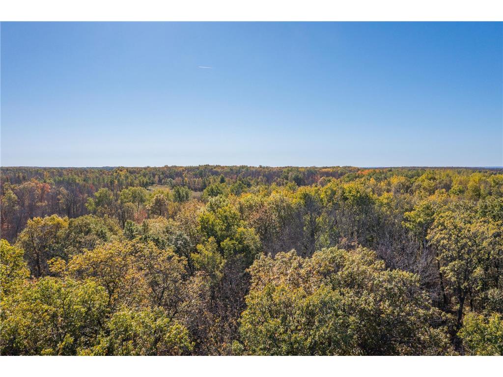 30205 190th Lane Isle MN 56342 6804061 image101