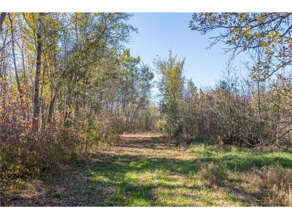 30205 190th Lane Isle MN 56342 6804061 image110