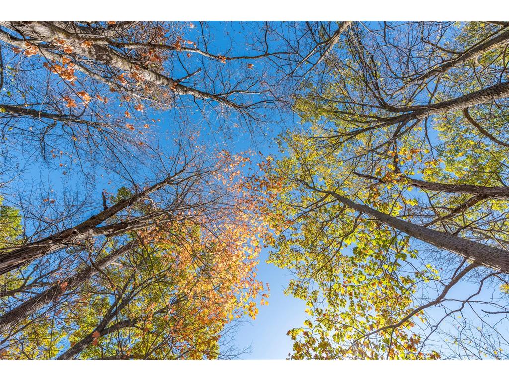 30205 190th Lane Isle MN 56342 6804061 image113