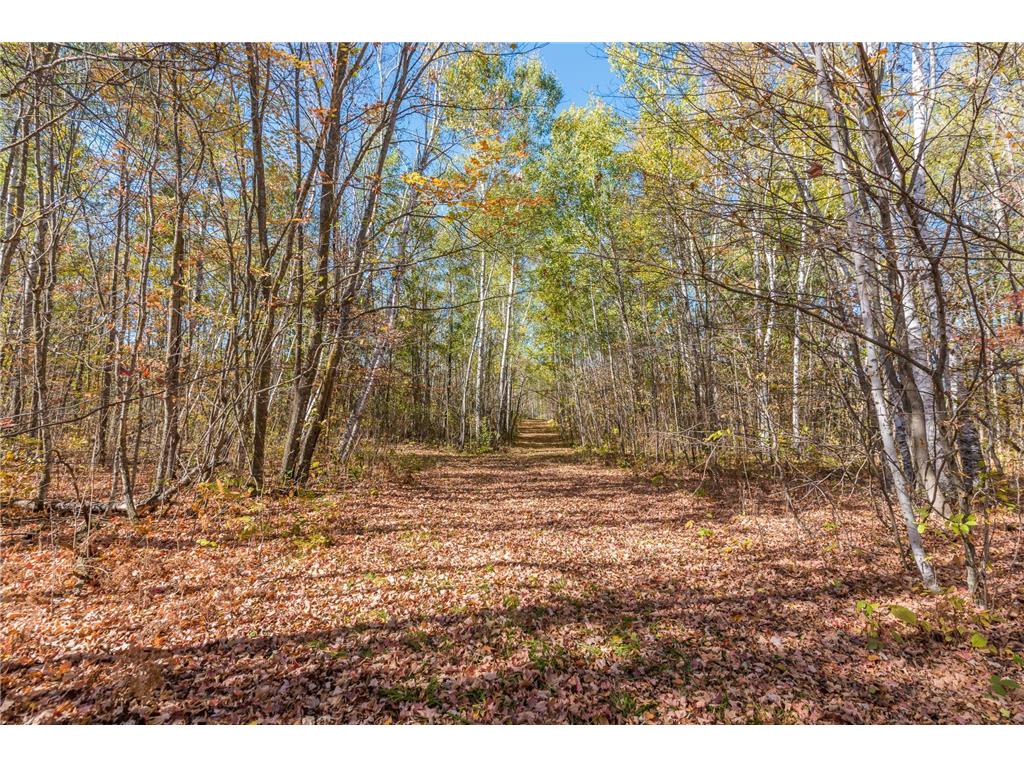 30205 190th Lane Isle MN 56342 6804061 image32