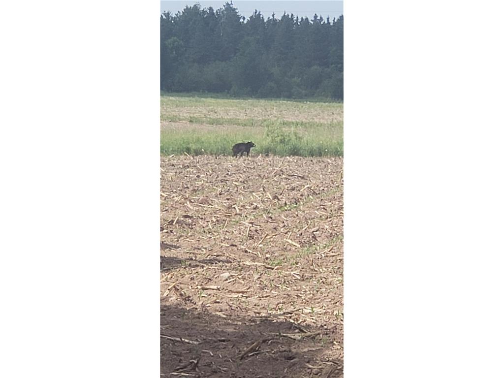 30205 190th Lane Isle MN 56342 6804061 image53