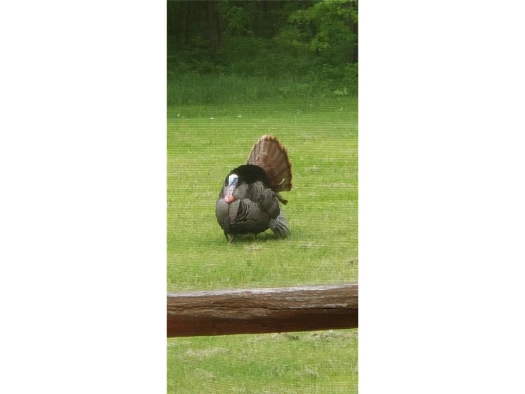 30205 190th Lane Isle MN 56342 6804061 image54