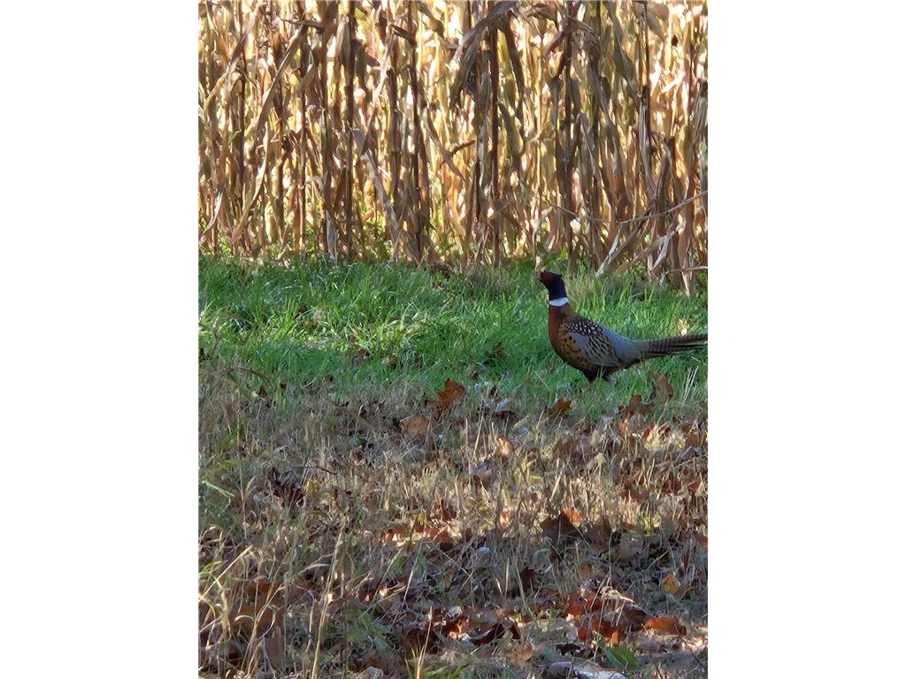 30205 190th Lane Isle MN 56342 6804061 image55