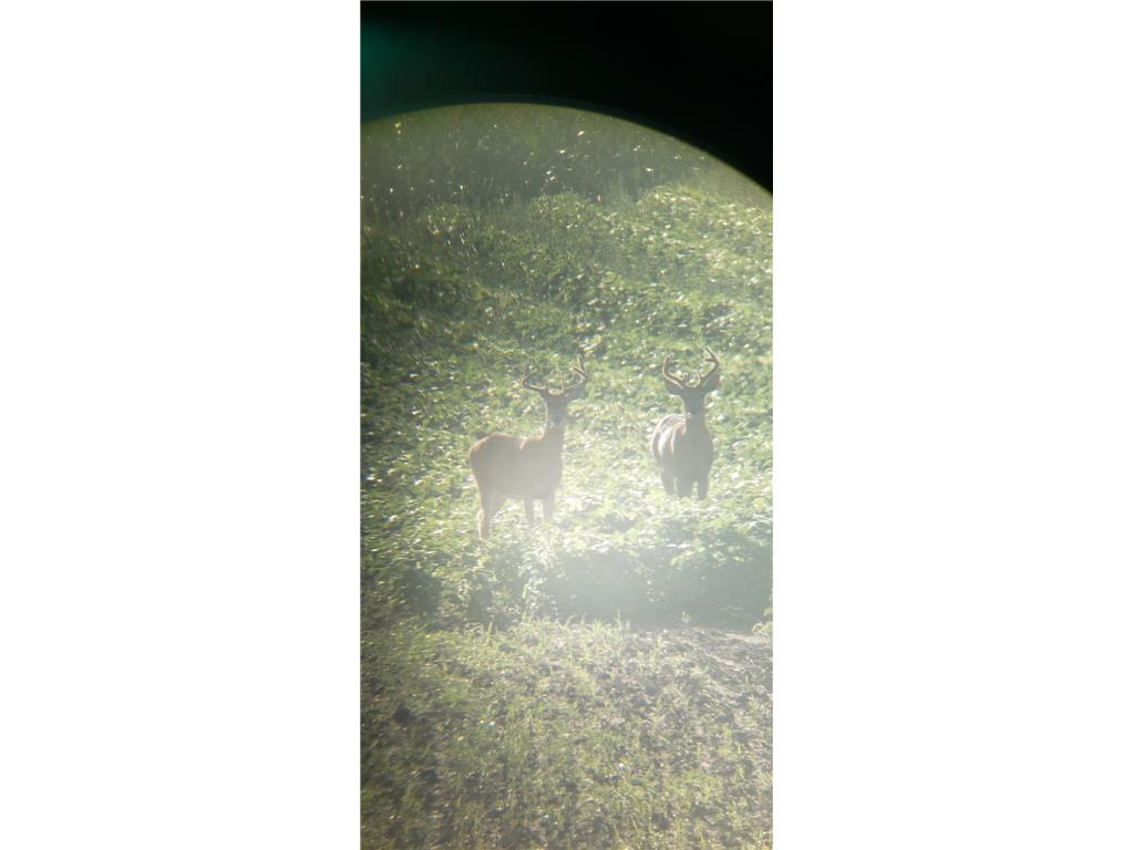 30205 190th Lane Isle MN 56342 6804061 image57