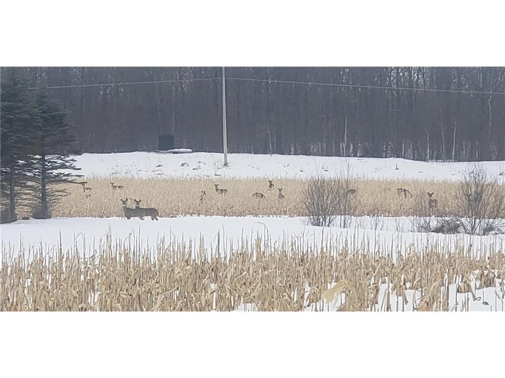 30205 190th Lane Isle MN 56342 6804061 image58