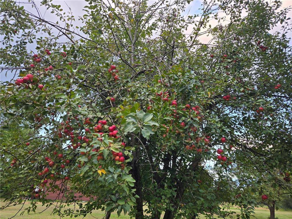 30205 190th Lane Isle MN 56342 6804061 image59