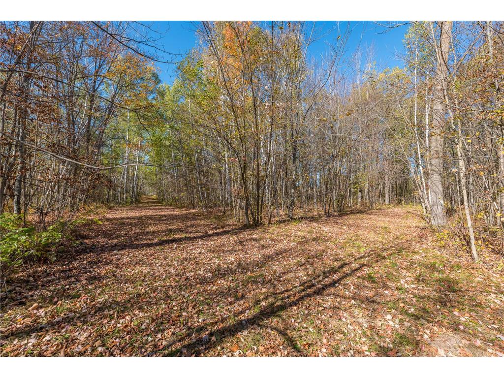 30205 190th Lane Isle MN 56342 6804061 image60