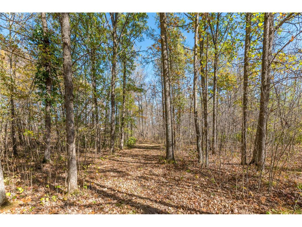 30205 190th Lane Isle MN 56342 6804061 image61