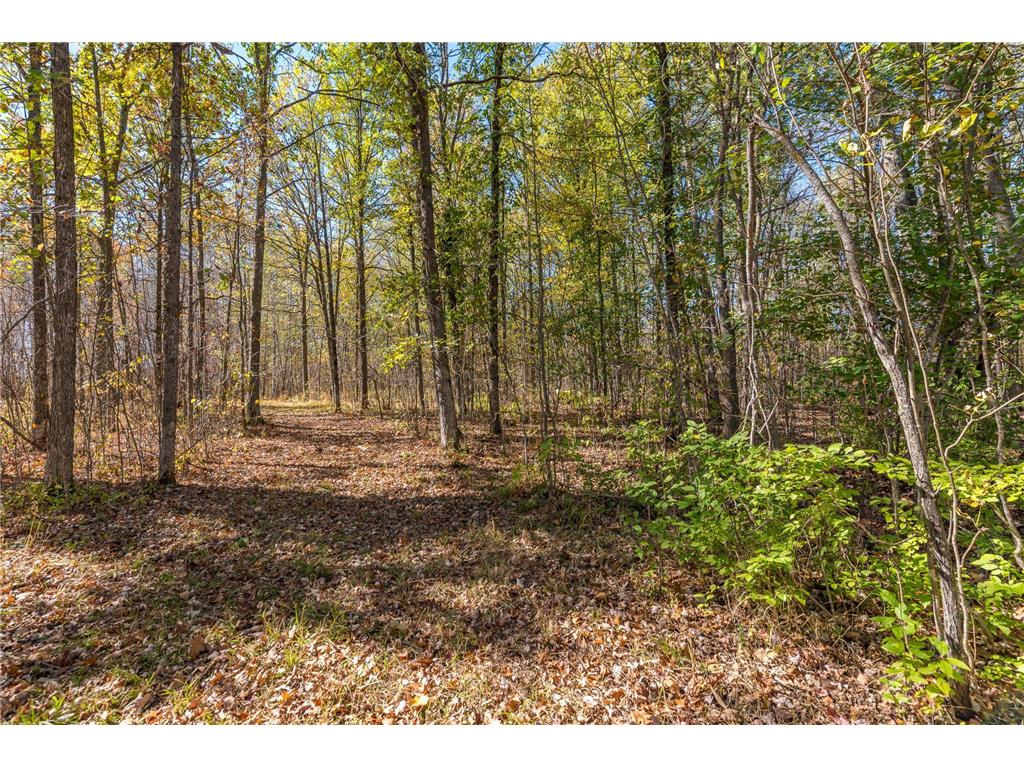 30205 190th Lane Isle MN 56342 6804061 image67