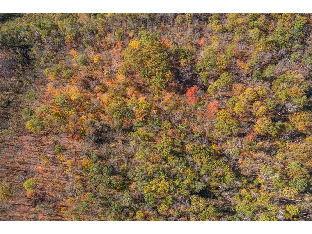 30205 190th Lane Isle MN 56342 6804061 image76