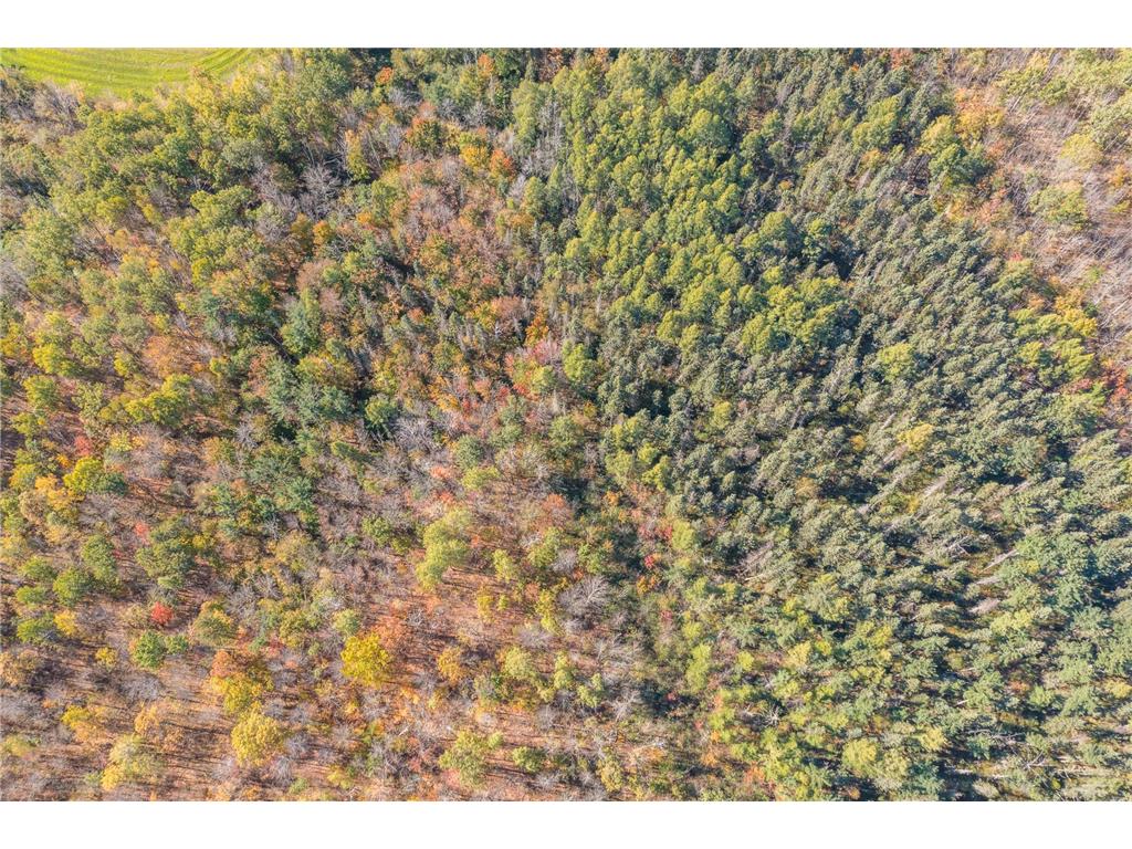 30205 190th Lane Isle MN 56342 6804061 image81