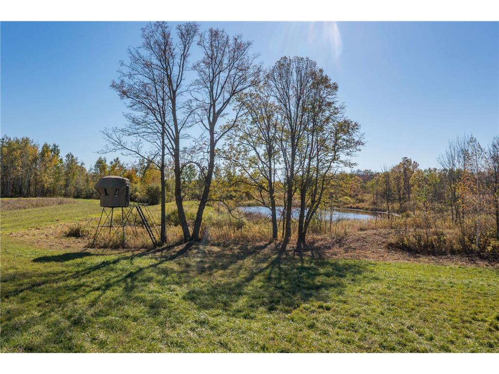 30205 190th Lane Isle MN 56342 6804061 image88