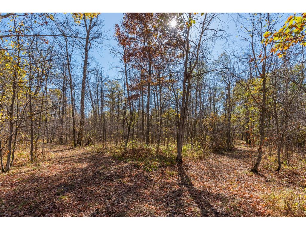 30205 190th Lane Isle MN 56342 6804061 image96