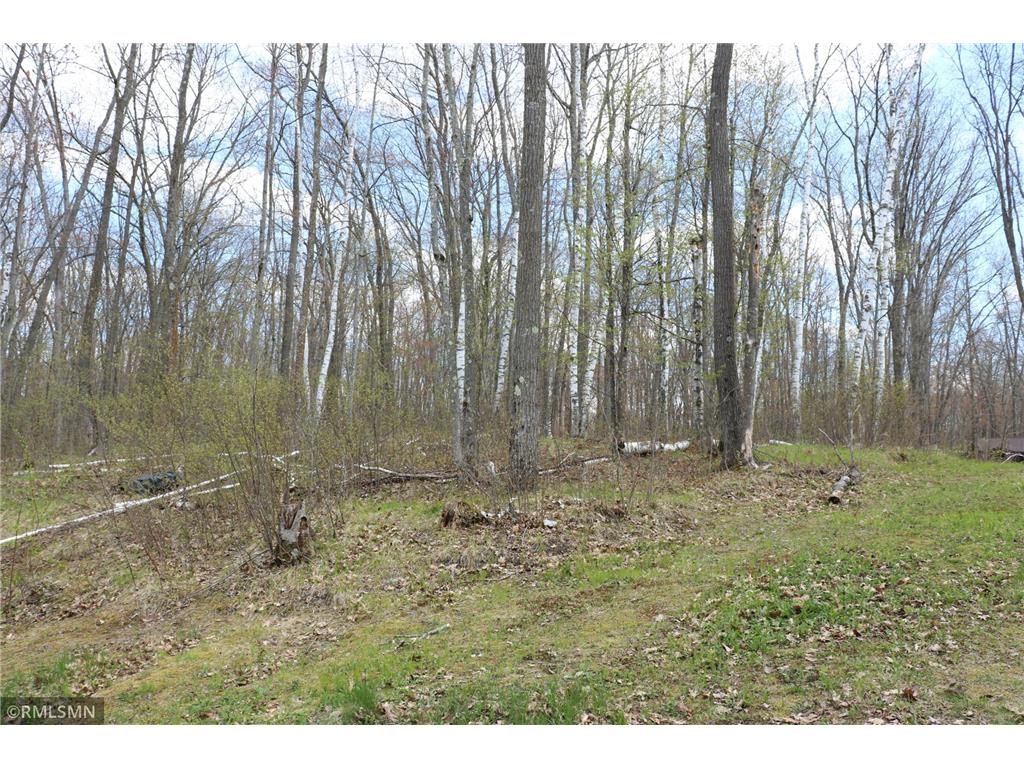30205 Birch Drive Pine City MN 55063 7071203 image22