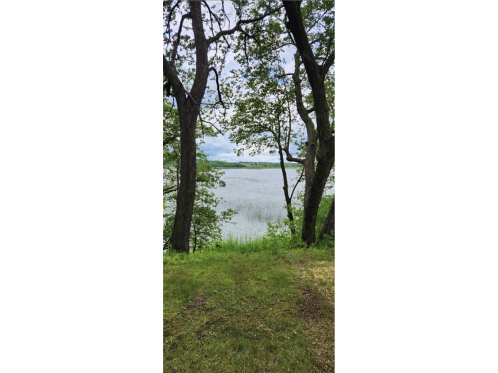 30216 Douglas Drive Burnhamville Twp MN 56336 - Big Swan 6699185 image1