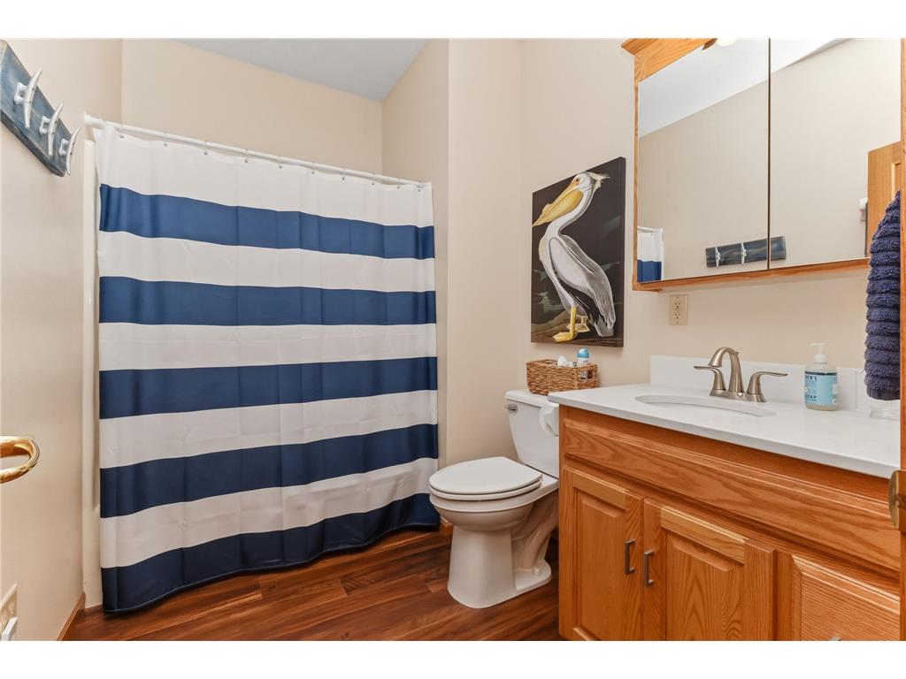 30223 Briorwood Road Paynesville Twp MN 56362 - Koronis 7078736 image37