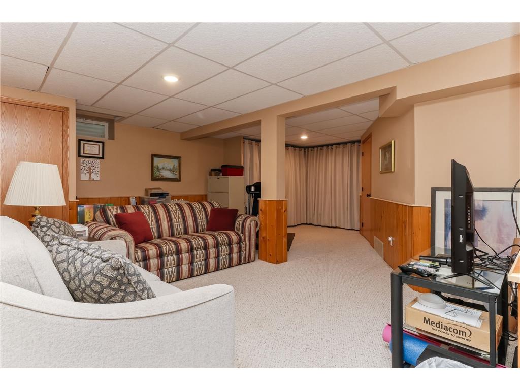 30223 Briorwood Road Paynesville Twp MN 56362 - Koronis 7078736 image47