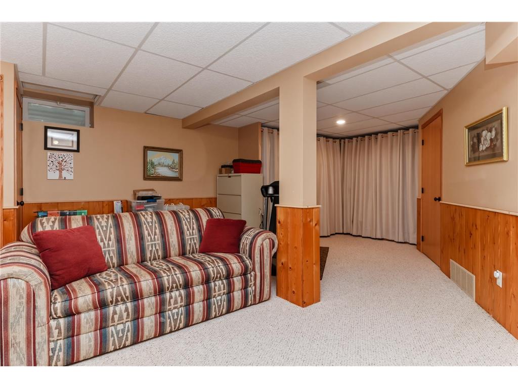 30223 Briorwood Road Paynesville Twp MN 56362 - Koronis 7078736 image48