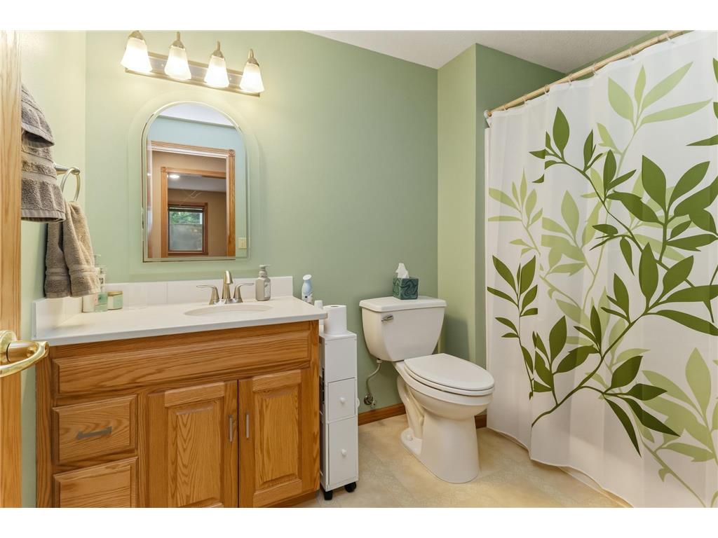 30223 Briorwood Road Paynesville Twp MN 56362 - Koronis 7078736 image50