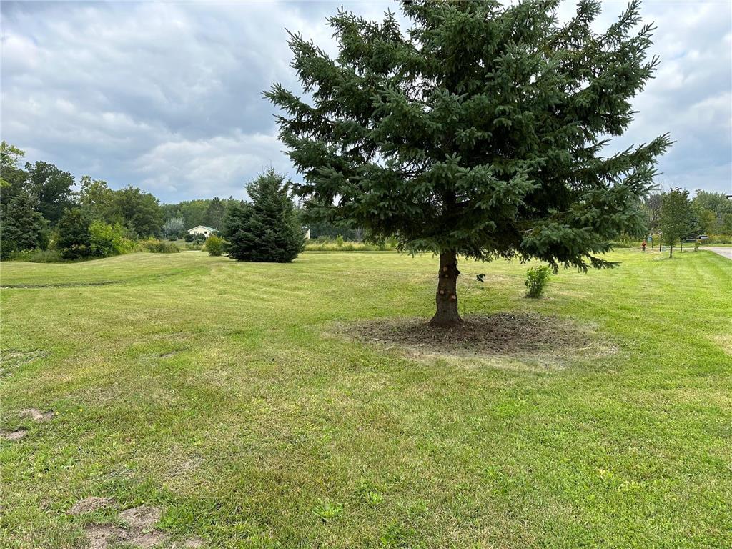 30238 478th Lane Palisade MN 56469 6419774 image1