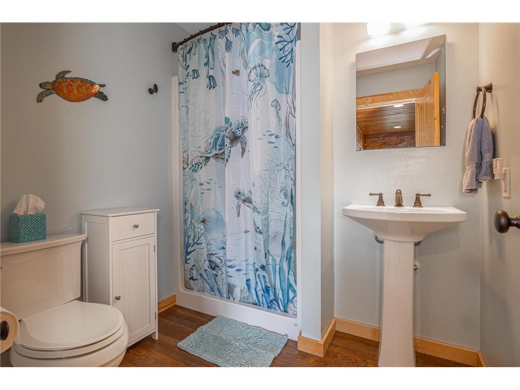 3025 3rd Avenue NW Longville MN 56655 - Blackwater 7097016 image21