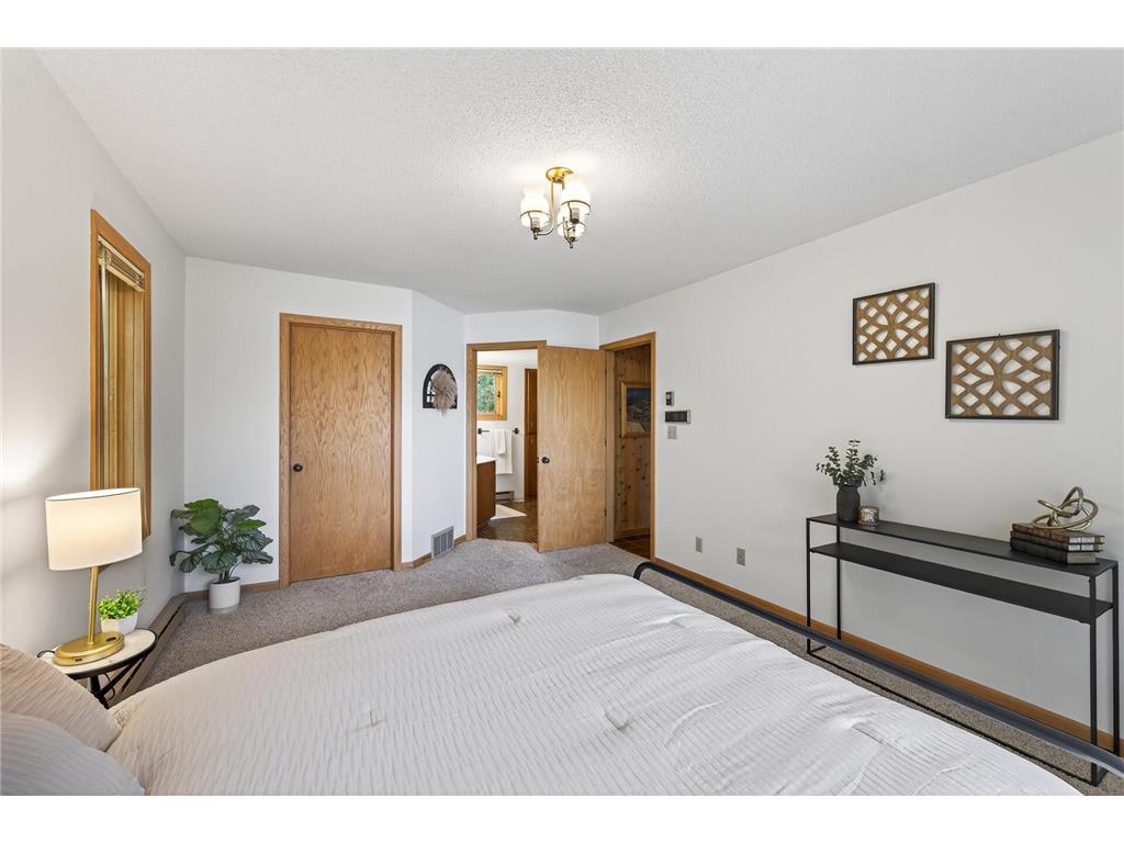 30260 Lofton Avenue Chisago Lake Twp MN 55013 - School Lake 6772133 image20