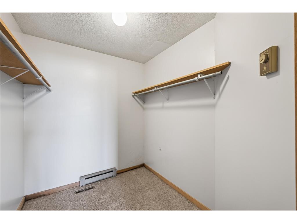 30260 Lofton Avenue Chisago Lake Twp MN 55013 - School Lake 6772133 image36