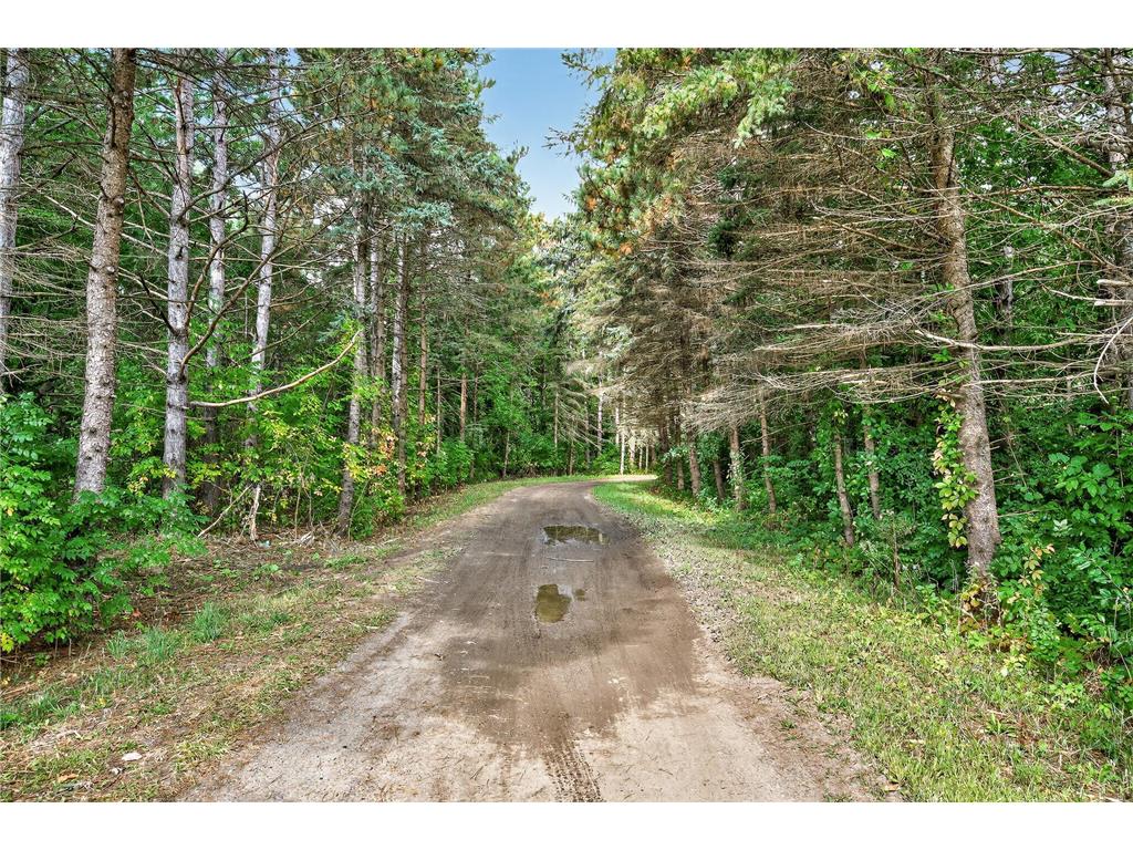 30260 Lofton Avenue Chisago Lake Twp MN 55013 - School Lake 6772133 image66