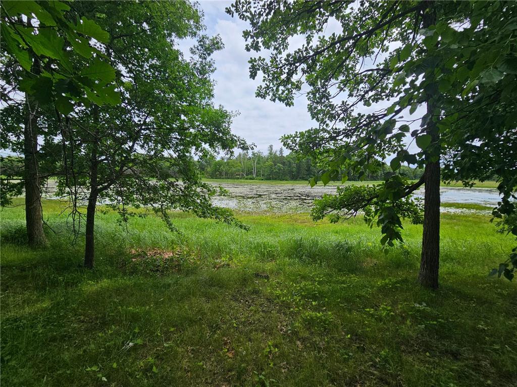 30280 Loon Lake Road Mission Twp MN 56441 7104511 image23
